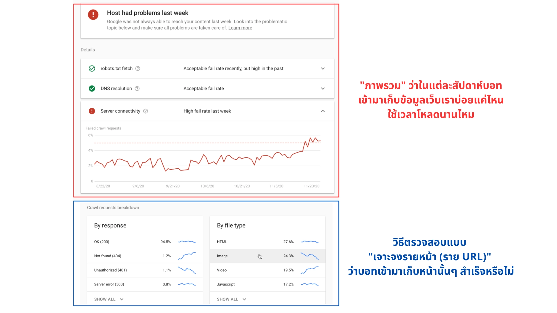 รายงานสถิติการรวบรวมข้อมูลของ Google Bot แสดงปัญหาการเชื่อมต่อและรายละเอียดการตอบสนองของเว็บไซต์