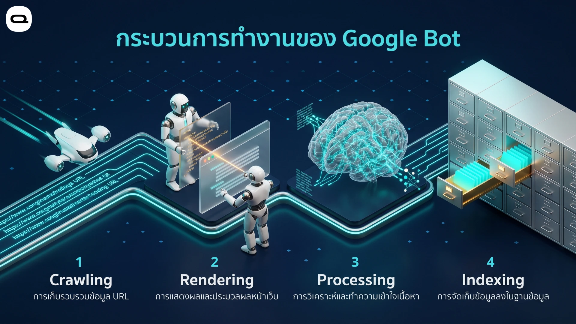 ขั้นตอนการทำงานของ Google Bot เริ่มจากการเก็บรวบรวมข้อมูล การแสดงผล การวิเคราะห์เนื้อหา และการจัดเก็บลงฐานข้อมูล