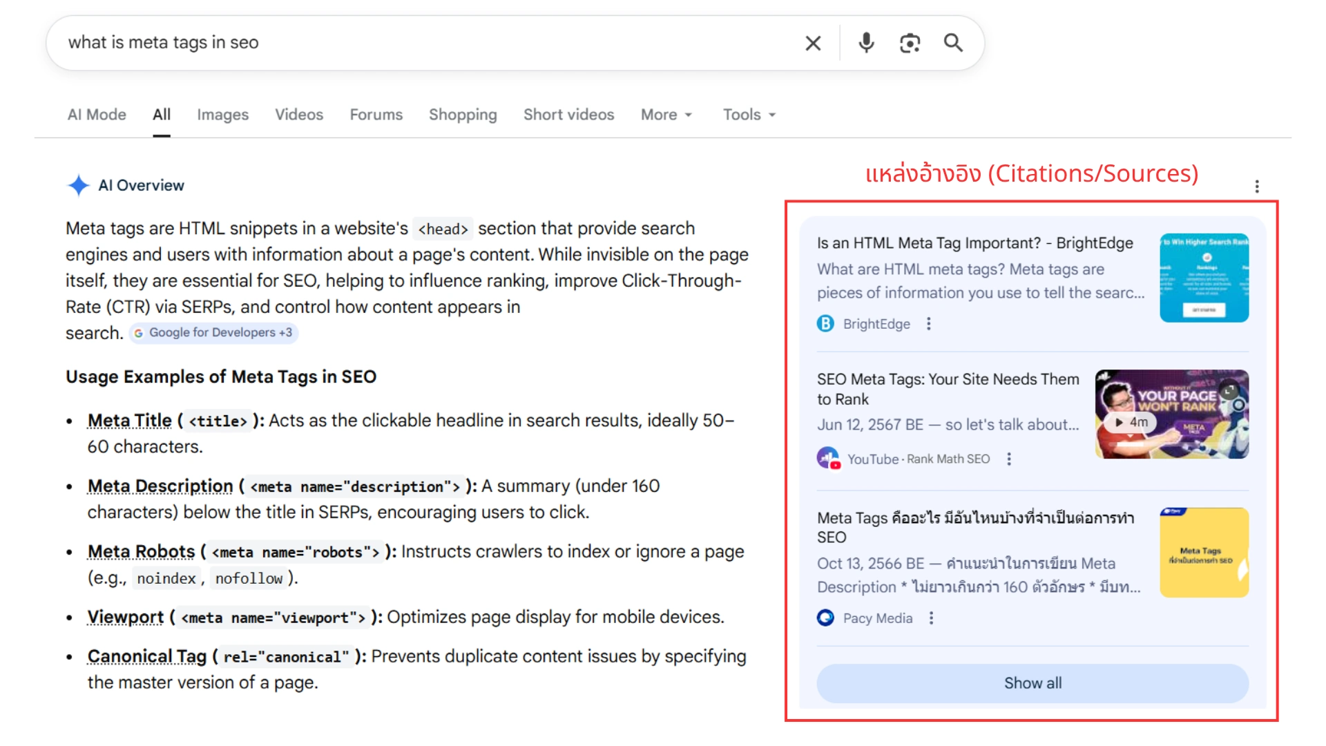 google search ai overview meta tags citations แหล่งอ้างอิงข้อมูลในฟีเจอร์เอไอโอเวอร์วิวของกูเกิลสำหรับการค้นหาเรื่อง Meta Tags